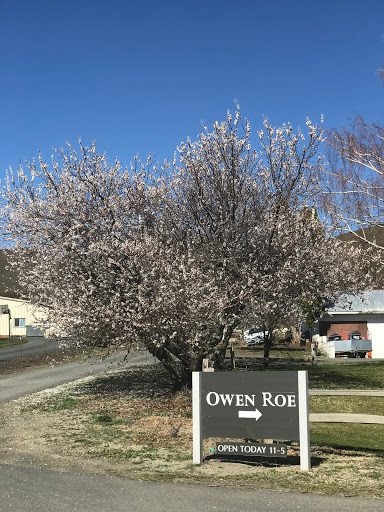 Winery «Owen Roe», reviews and photos, 309 Gangl Rd, Wapato, WA 98951, USA