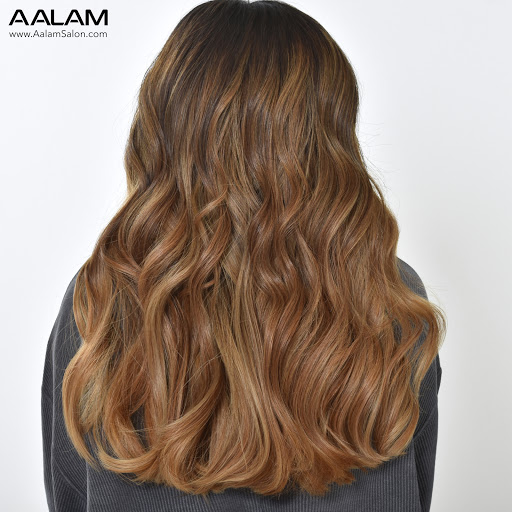 Hair Salon «AALAM The Salon», reviews and photos, 8240 Preston Rd #170, Plano, TX 75024, USA