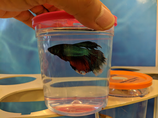 Pet Supply Store «PetSmart», reviews and photos, 16760 Highlands Center Blvd, Bristol, VA 24202, USA