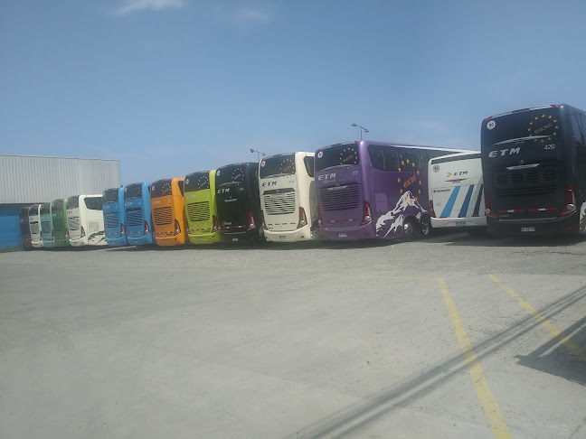 Opiniones de buses ETM en Puerto Montt - Servicio de transporte