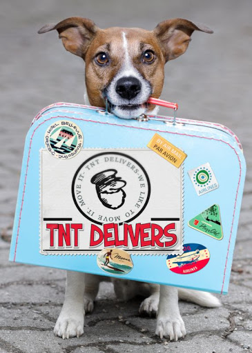 Moving and Storage Service «TNT Delivers», reviews and photos, 81880 Lancer Way, Indio, CA 92201, USA
