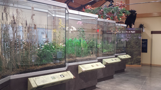 National Reserve «Assabet River National Wildlife Refuge», reviews and photos, 680 Hudson Road, Sudbury, MA 01776, USA