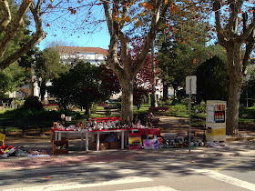 Jardim Municipal de Santiago do Cacém