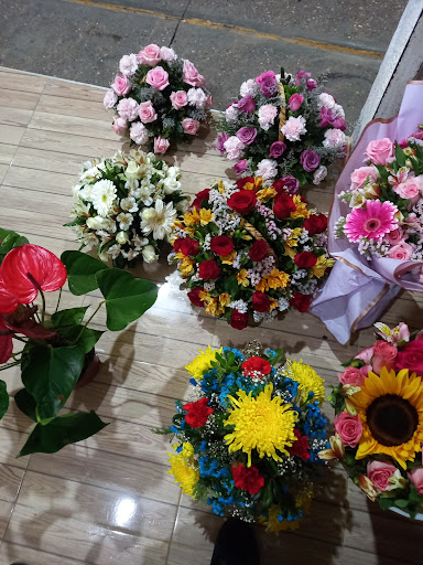 Florería El Paraíso – San Luis de la Paz