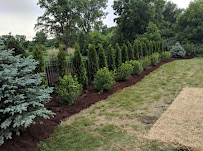 Dobson Landscaping, Inc - Photo 5 - Car repair in , Joliet