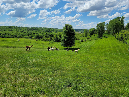 Boutique «Alpacas of the Heartland LLC», reviews and photos, 7016 County Rd 39, Fort Calhoun, NE 68023, USA