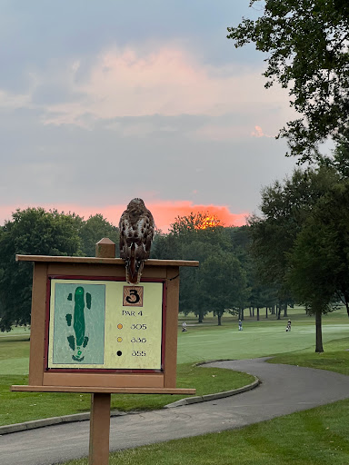 Golf Course «Big Met Golf Course», reviews and photos, 4811 Valley Pkwy, Fairview Park, OH 44126, USA