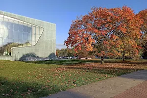 Łąka Leśmiana przy Muzeum Polin image