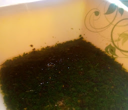 Mama Akeem's Executive Restaurant photo