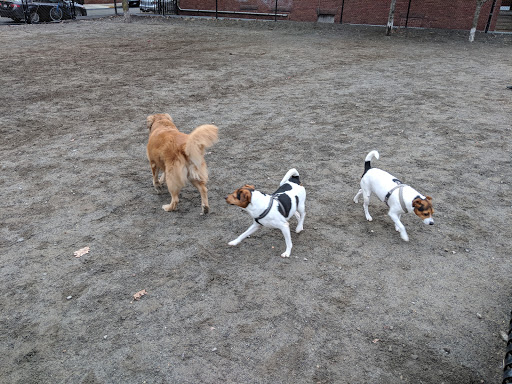 Park «Nunziato Field Dog Park», reviews and photos, Putnam St, Somerville, MA 02143, USA