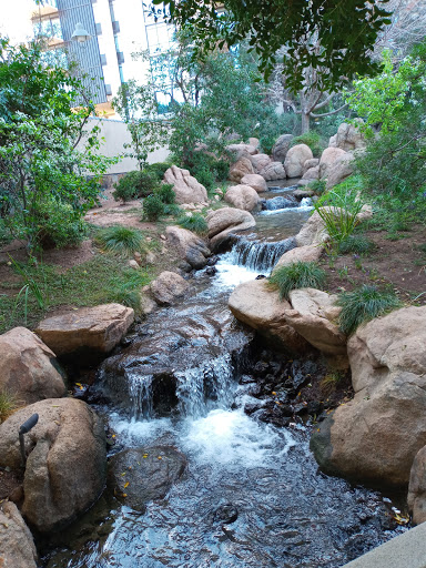 Park «Margaret T. Hance Park», reviews and photos, 67 W Culver St, Phoenix, AZ 85003, USA