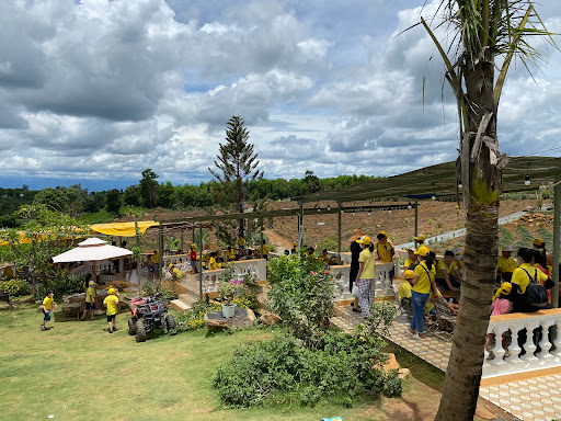 Du lịch nghỉ dưỡng Phú Yên NGHI ROSE GARDEN