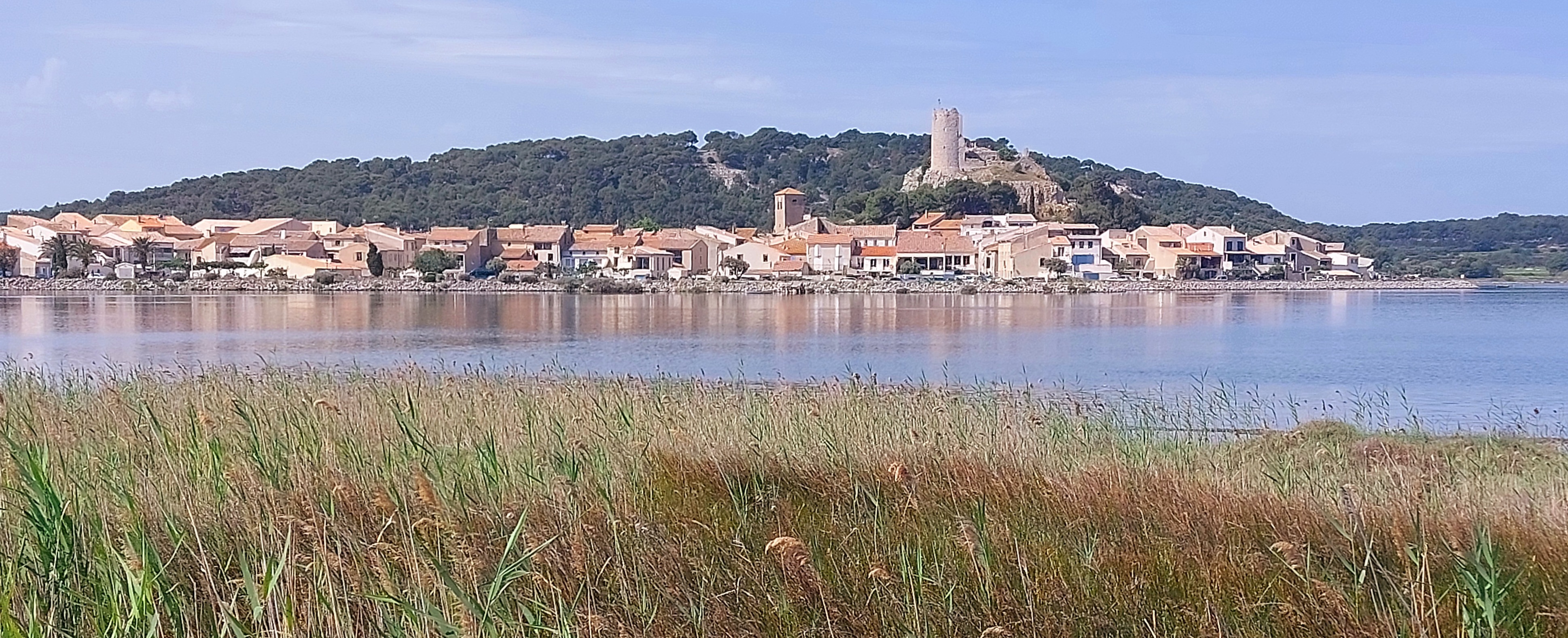 Photo n° 2 de l'avis de Annema.e fait le 06/06/2023 à 08:48