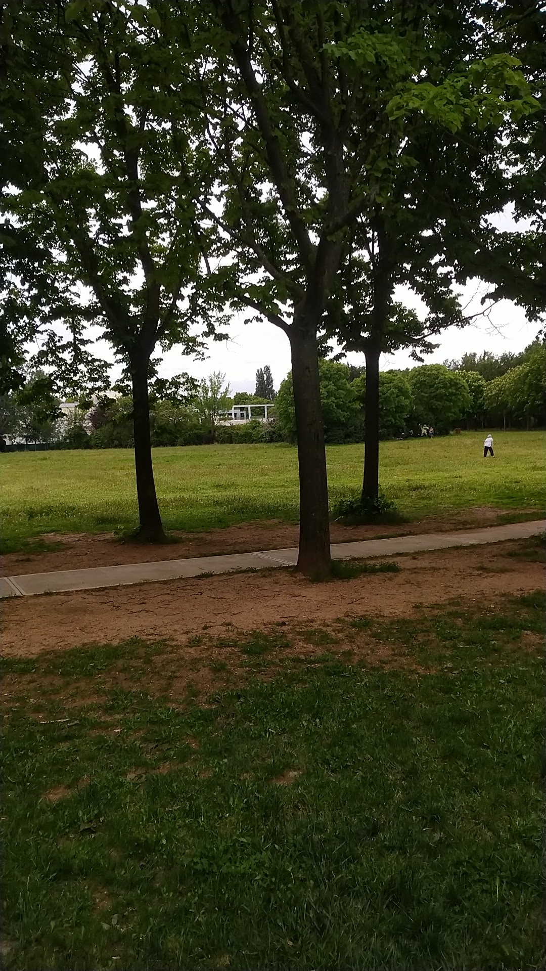 Photo n° 6 de l'avis de Anfifa.L fait le 15/05/2021 à 13:15
