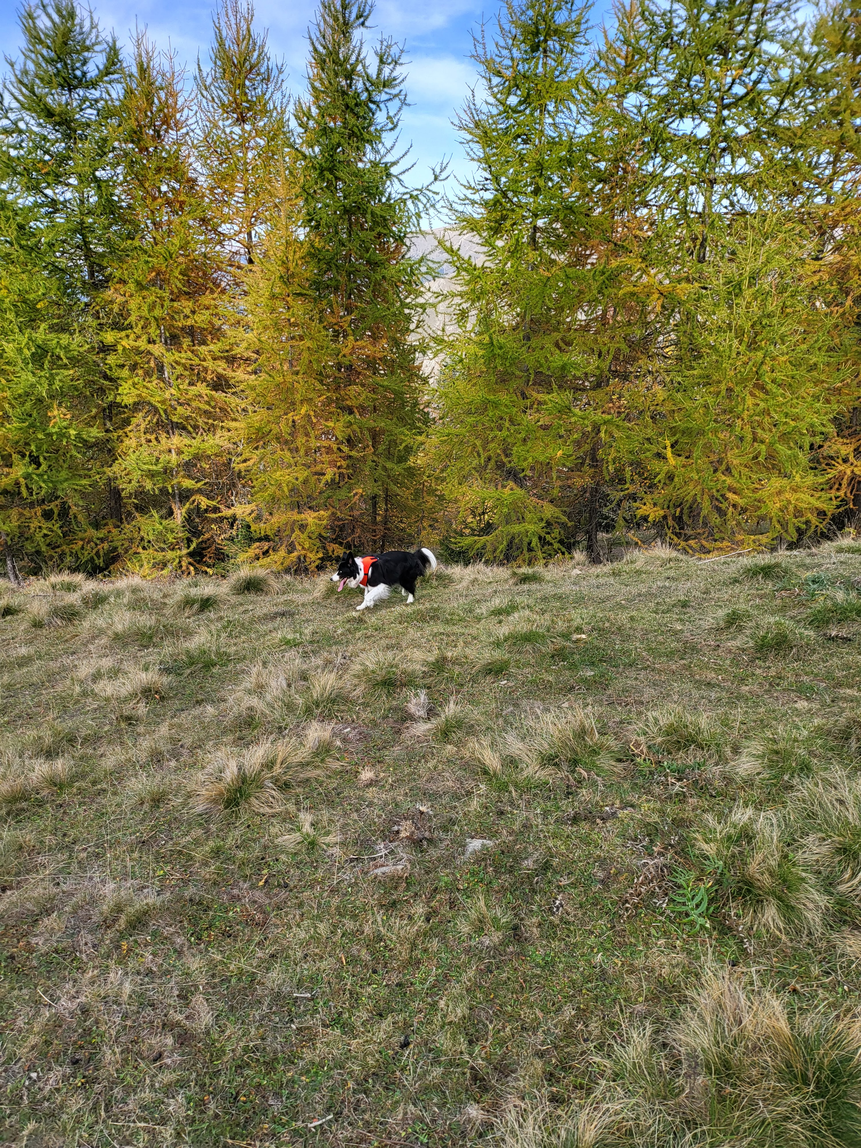 Photo n° 1 de l'avis de Cédric.e fait le 30/10/2022 à 11:19