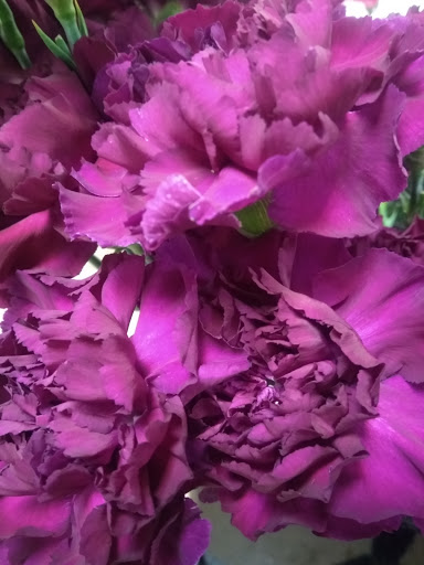 Florist «Flower Patch», reviews and photos, 4370 300 W, Salt Lake City, UT 84107, USA