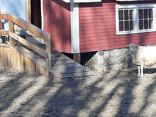 Park «Endicott Park (Town of Danvers)», reviews and photos, 57 Forest St, Danvers, MA 01923, USA