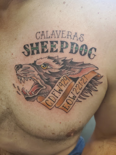 Tattoo Shop «Fat Cat Tattoo», reviews and photos, 460 CA-49, Sutter Creek, CA 95685, USA