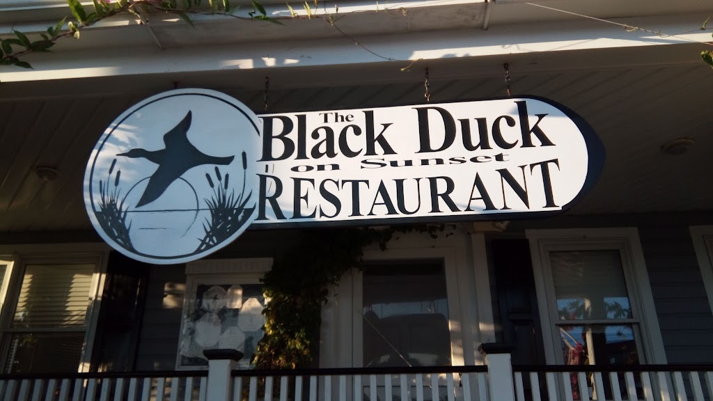 Black Duck On Sunset 08204