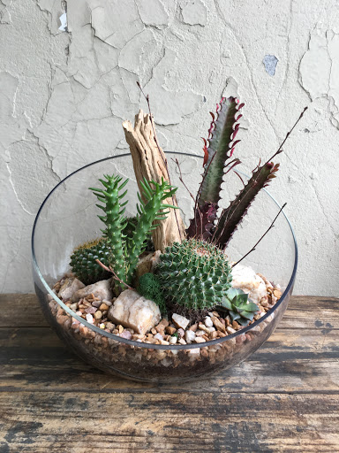 Wholesale Florist «Urban Jungle», reviews and photos, 2603 Sherman Ave NW, Washington, DC 20001, USA