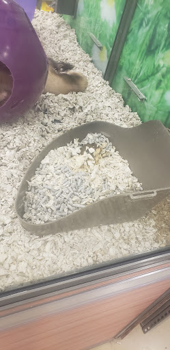 Pet Supply Store «Petco Animal Supplies», reviews and photos, 2241 Porter Creek Dr, Fort Worth, TX 76177, USA