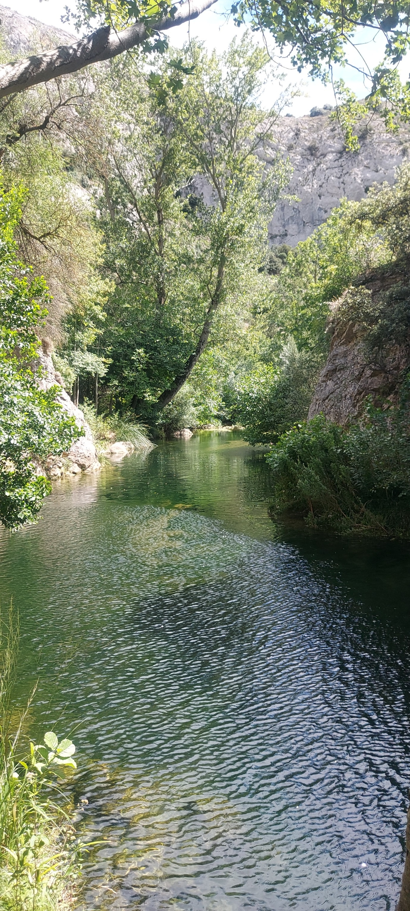 Photo n° 2 de l'avis de Arnaud. fait le 01/08/2023 à 17:31
