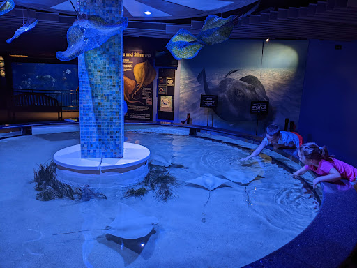 Aquarium «North Carolina Aquarium at Pine Knoll Shores», reviews and photos, 1 Roosevelt Blvd, Pine Knoll Shores, NC 28512, USA