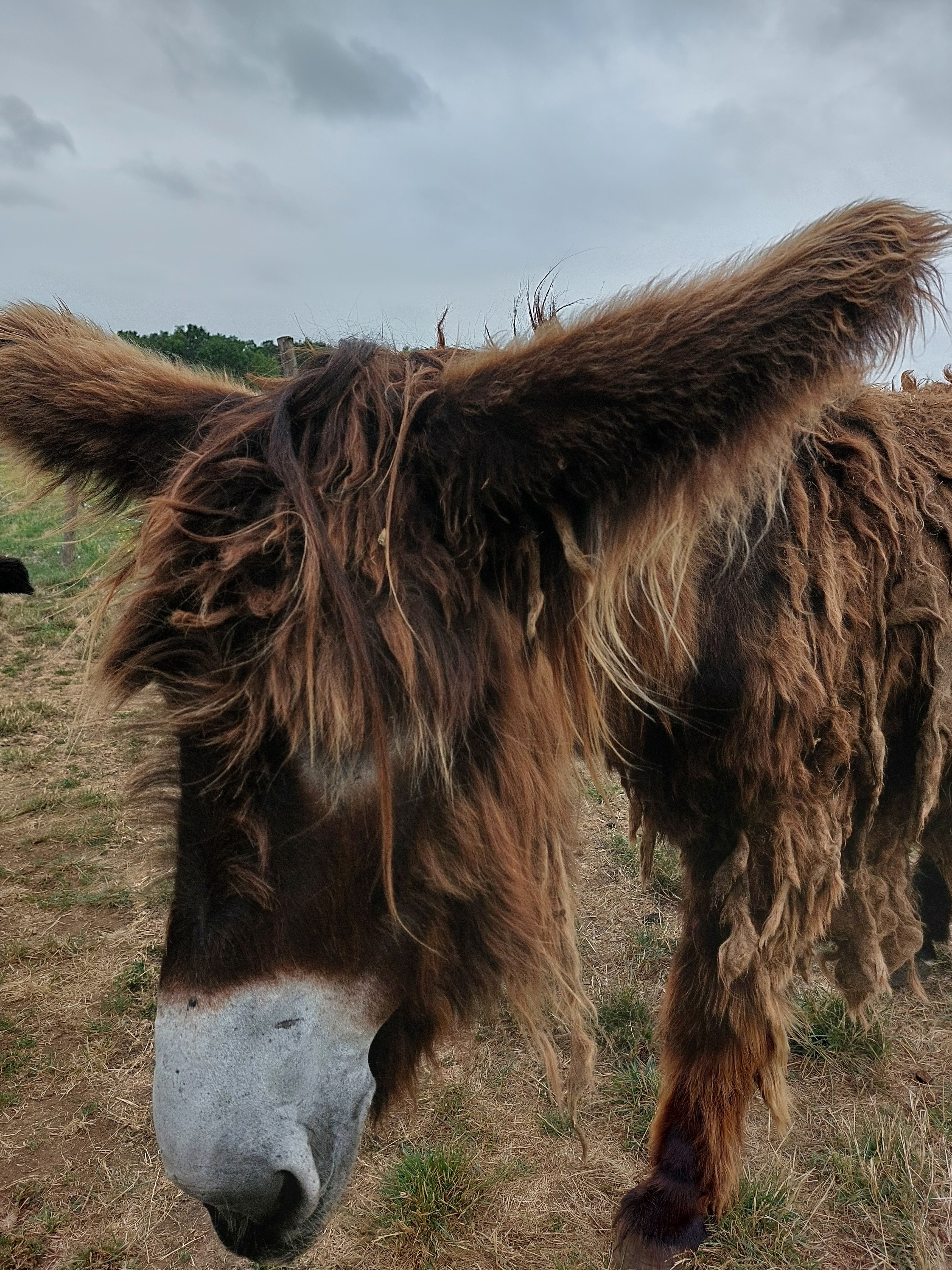 Photo n° 7 de l'avis de Isabelle.o fait le 16/07/2023 à 19:00
