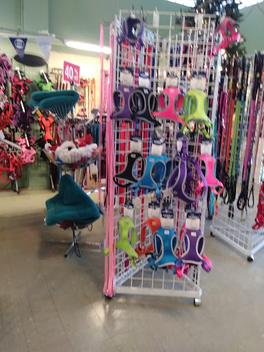 Pet Store «All About Pets LLC», reviews and photos, 52567 Columbia River Hwy, Scappoose, OR 97056, USA