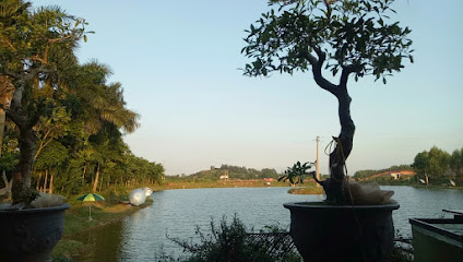 Hồ câu Vạn Minh