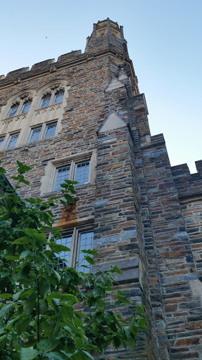 Stadium «Wallace Wade Stadium», reviews and photos, 110 Frank Basset Dr, Durham, NC 27705, USA