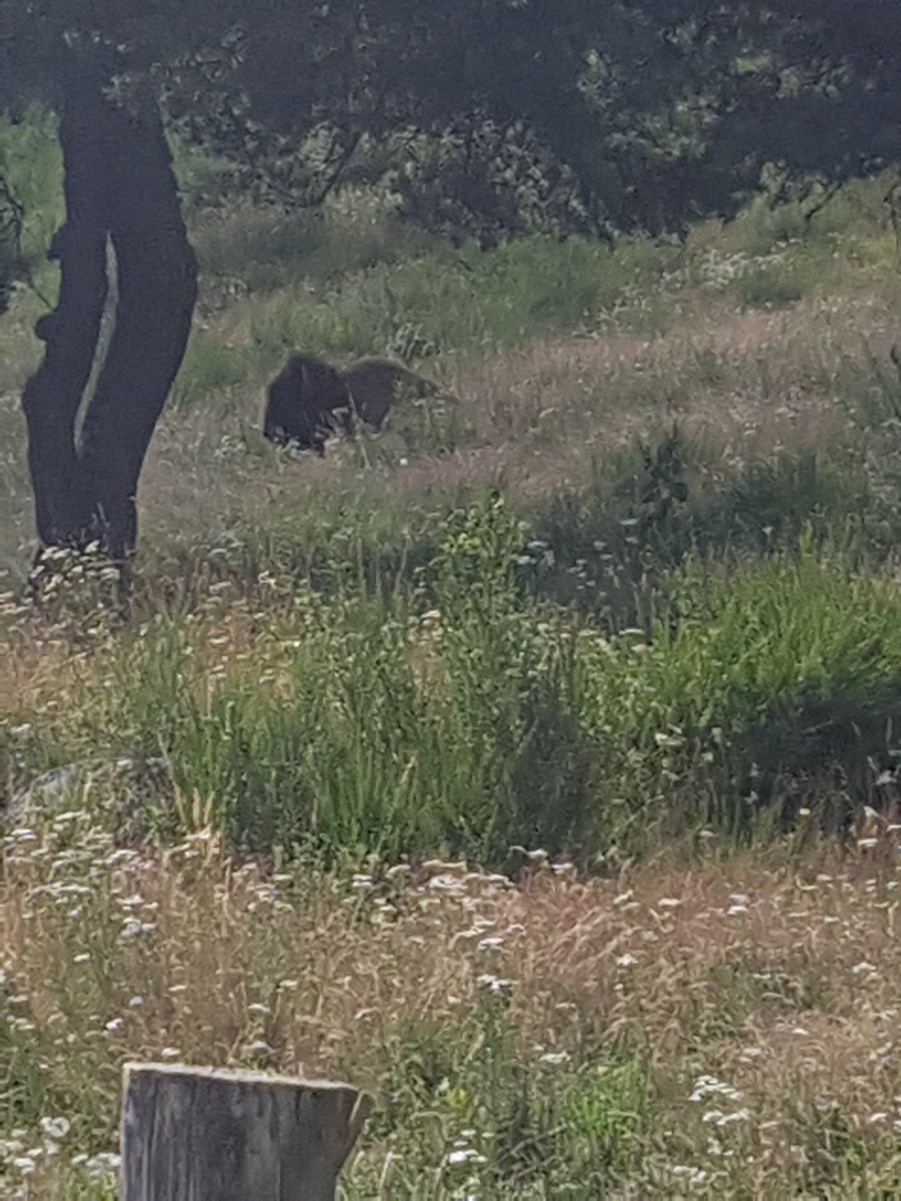 Photo n° 19 de l'avis de Mick.u fait le 26/07/2018 à 19:41