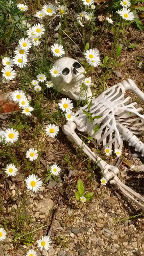 Park «Foote Memorial Park», reviews and photos, Melrose Ave, Branford, CT 06405, USA