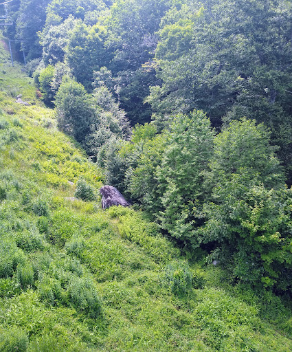 Ski Resort «Sugar Mountain Resort, Inc.», reviews and photos, 1009 Sugar Mountain Dr, Sugar Mountain, NC 28604, USA