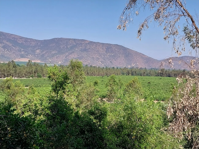 AGRICOLA FUNDO EL RINCON LTDA