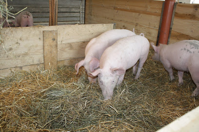 Mein Schweinderl - Qualitätsfleisch vom Bauernhof