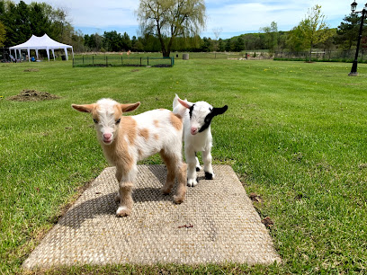 Goat Your Back Farm & Yoga