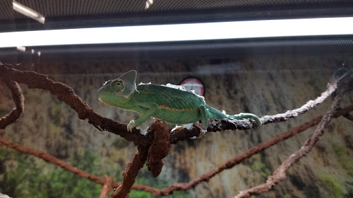 Pet Supply Store «Petco Animal Supplies», reviews and photos, 5850 Sepulveda Blvd, Van Nuys, CA 91411, USA