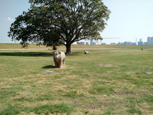 Park «Trammell Crow Park», reviews and photos, 3700 Sylvan Ave, Dallas, TX 75207, USA