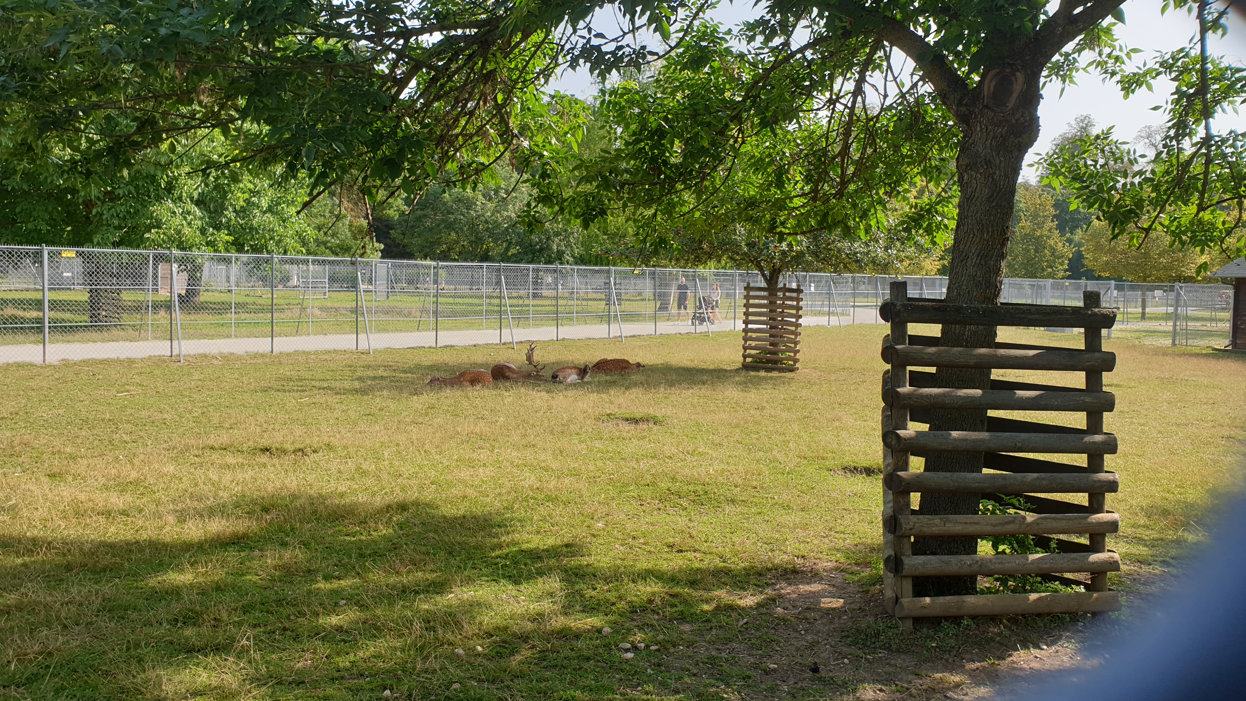 Photo n° 4 de l'avis de BMB.O fait le 14/09/2017 à 07:10