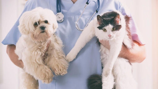 Clínica Veterinaria 3 de Mayo en Los Realejos