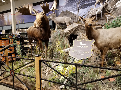Outdoor Sports Store «Field & Stream», reviews and photos, 1501 Sentinel Dr Ste B, Chesapeake, VA 23320, USA