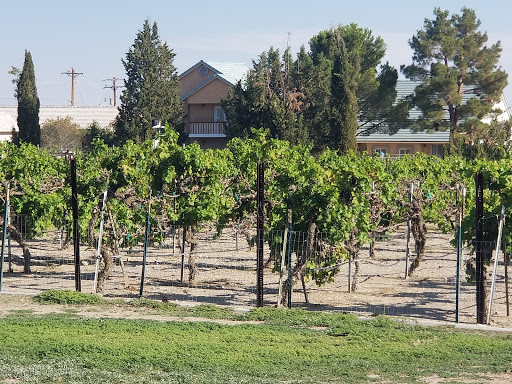 Winery «Pahrump Valley Winery», reviews and photos, 3810 Winery Rd, Pahrump, NV 89048, USA