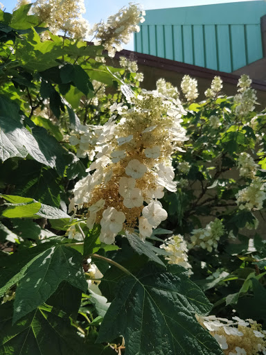 Recreation Center «Evendale Recreation Center», reviews and photos, 10500 Reading Rd, Cincinnati, OH 45241, USA