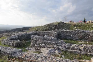 Bribirska glavica image