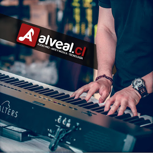 Opiniones de Alveal.cl en Renca - Tienda de instrumentos musicales