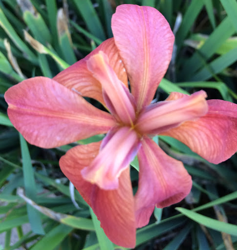 Natural History Museum «The Witt Stephens Jr. Central Arkansas Nature Center», reviews and photos, 602 President Clinton Ave, Little Rock, AR 72201, USA