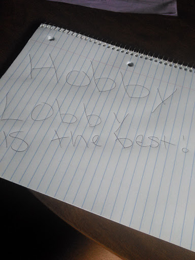 Craft Store «Hobby Lobby», reviews and photos, 3925 Dodge St, Dubuque, IA 52003, USA