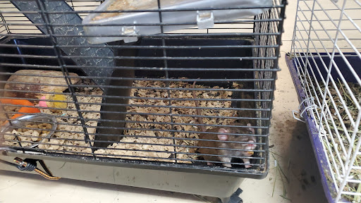 Pet Store «Cody PET DEPOT», reviews and photos, 556 Yellowstone Ave, Cody, WY 82414, USA