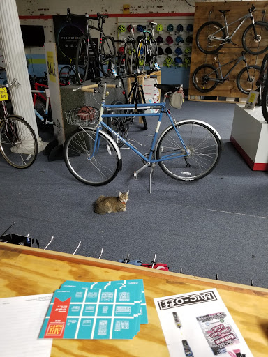 Bicycle Store «Swim, Bike & Run», reviews and photos, 153 E White St, Rock Hill, SC 29730, USA